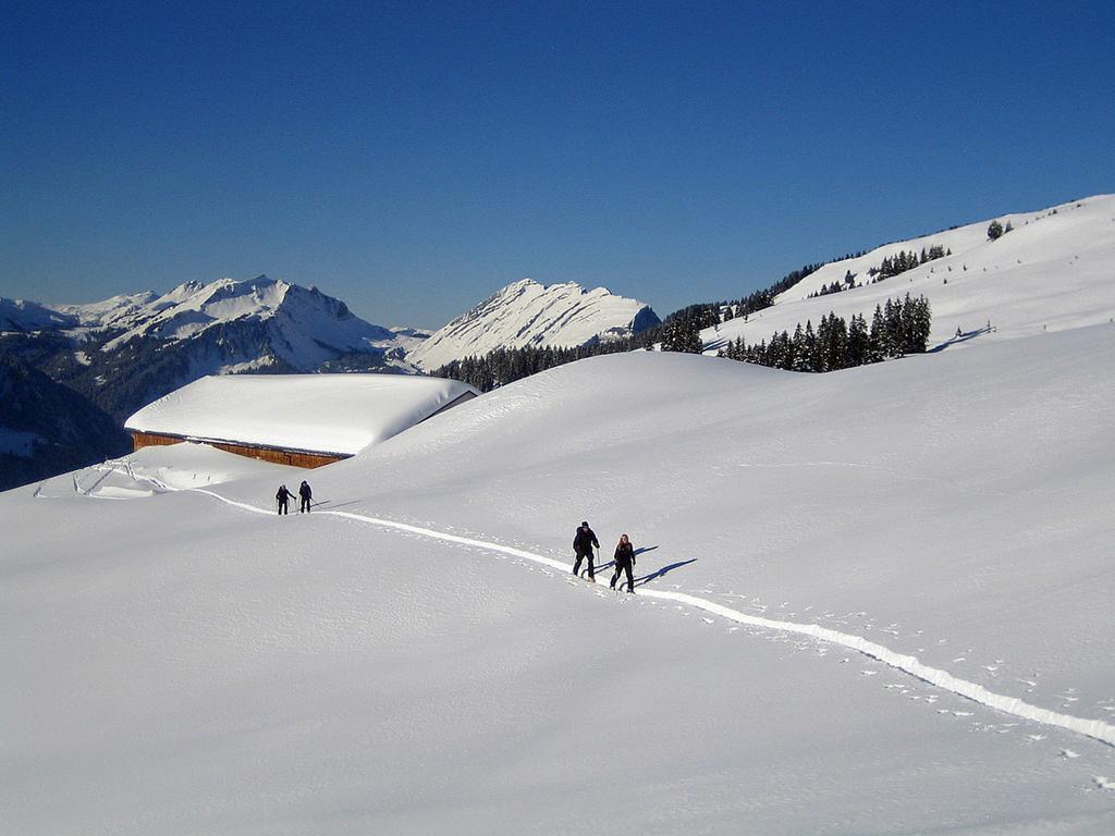 Caroline'S Appartement Au (Vorarlberg) 外观 照片